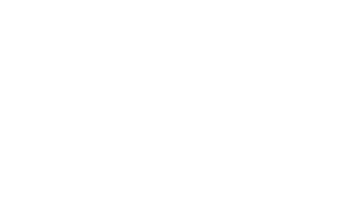 Travellers Insight Logo